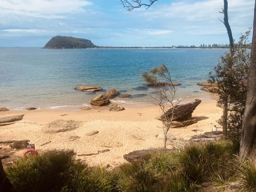 Sydney: Ku-ring-gai National Park with swim and picnic - The picnic: local food in a bush setting