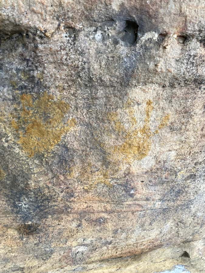 Sydney: Ku-ring-gai National Park with swim and picnic - Beaches, swimming, and the quiet waterfront
