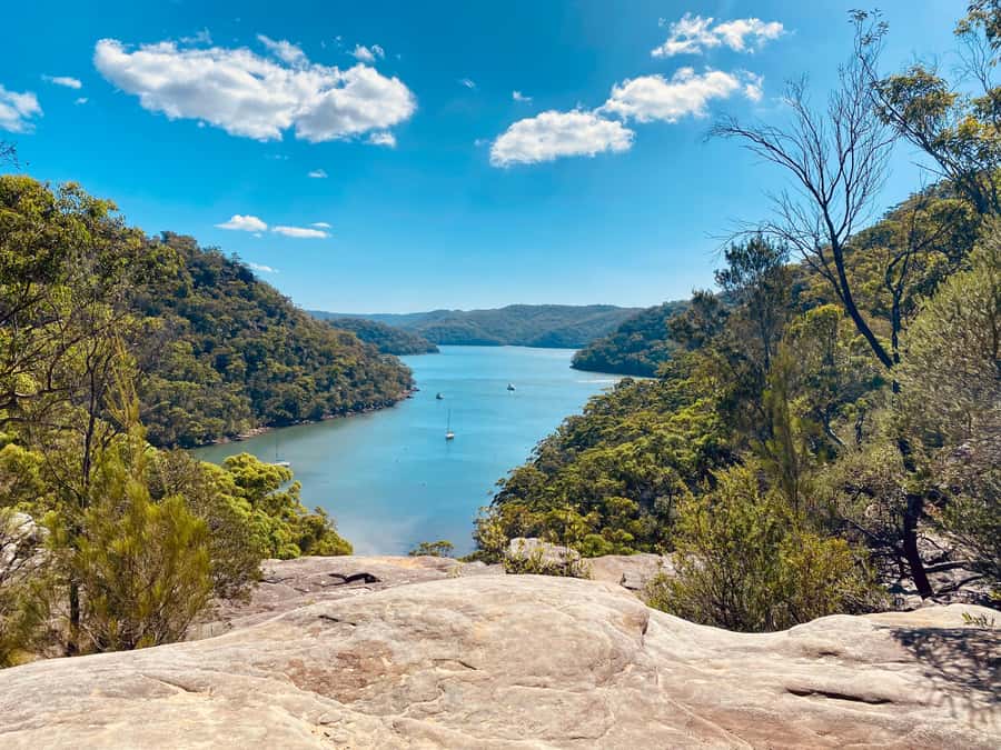 Sydney: Ku-ring-gai National Park with swim and picnic - Leaving Sydney in a private car