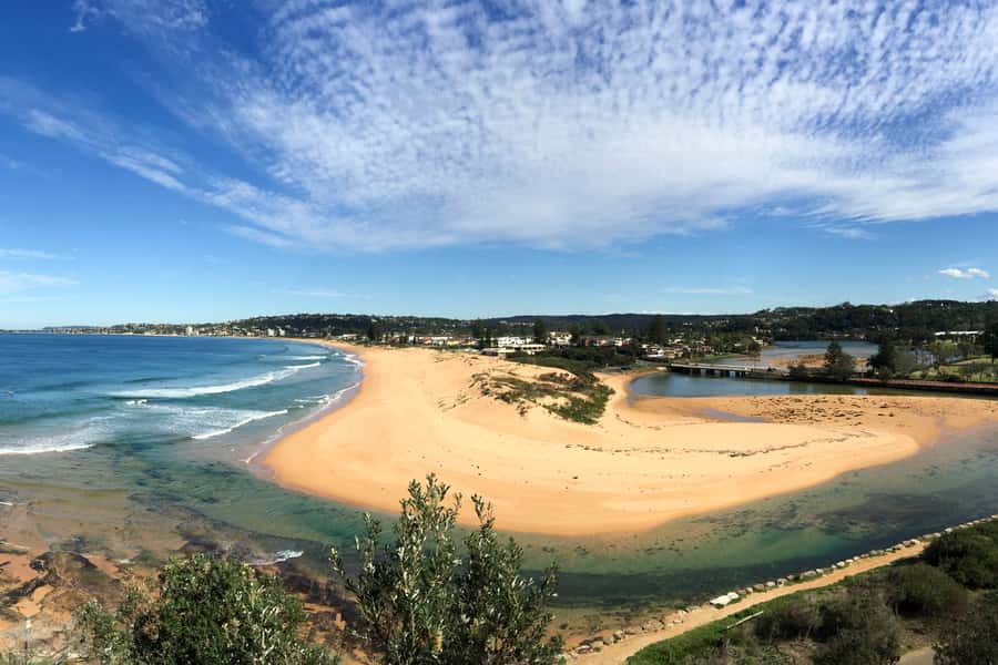 Sydney: Northern Beaches and Ku-ring-gai National Park Tour - Who will enjoy this tour most?
