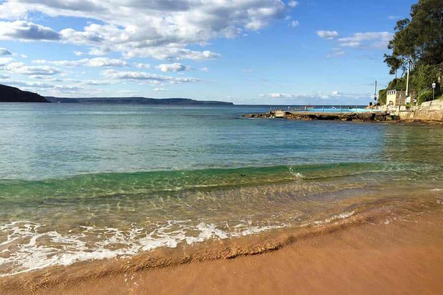 Sydney: Northern Beaches and Ku-ring-gai National Park Tour - Why this northern Sydney day is worth your time