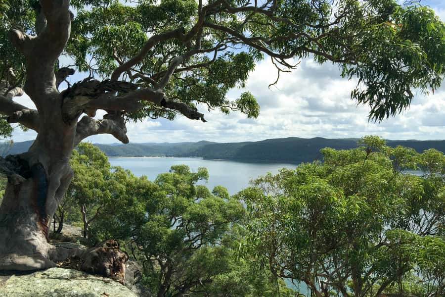 Sydney: Northern Beaches and Ku-ring-gai National Park Tour - Ku-ring-gai Chase National Park and Aboriginal rock art