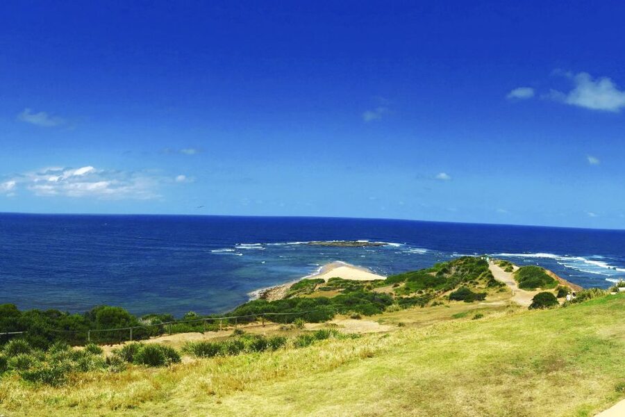 Sydney: Northern Beaches and Ku-ring-gai National Park Tour - Curl Curl, Freshwater, and the coastal walk