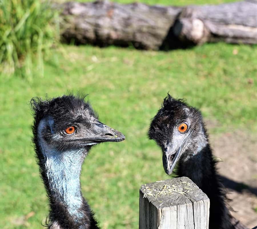 Sydney: Royal National Park private day tour - What the $368 price really buys