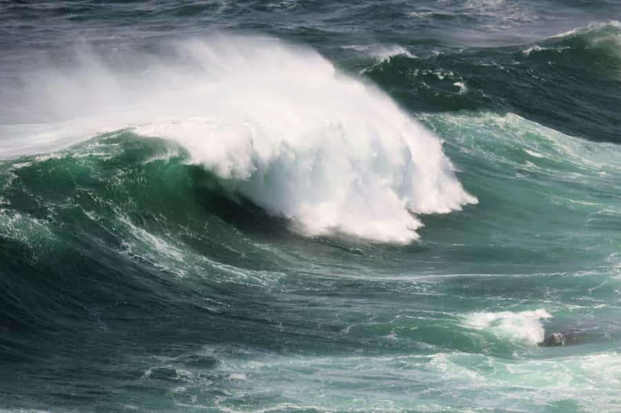 Sydney: Royal National Park private day tour - Providential Point adds the big coastal view