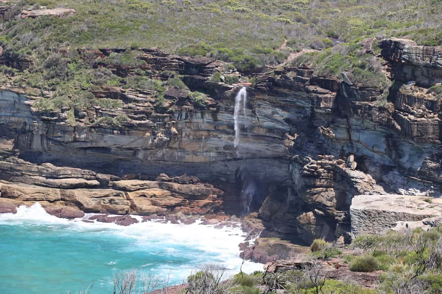 Sydney: Royal National Park private day tour - The rainforest shows another side of the park