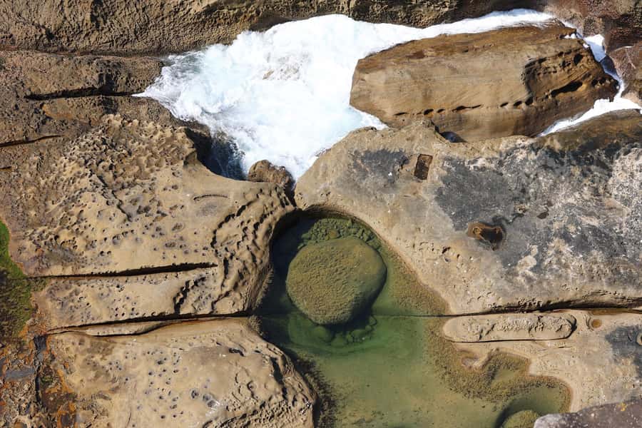 Sydney: Royal National Park private day tour - Bald Hill and Sea Cliff Bridge finish the scenic day