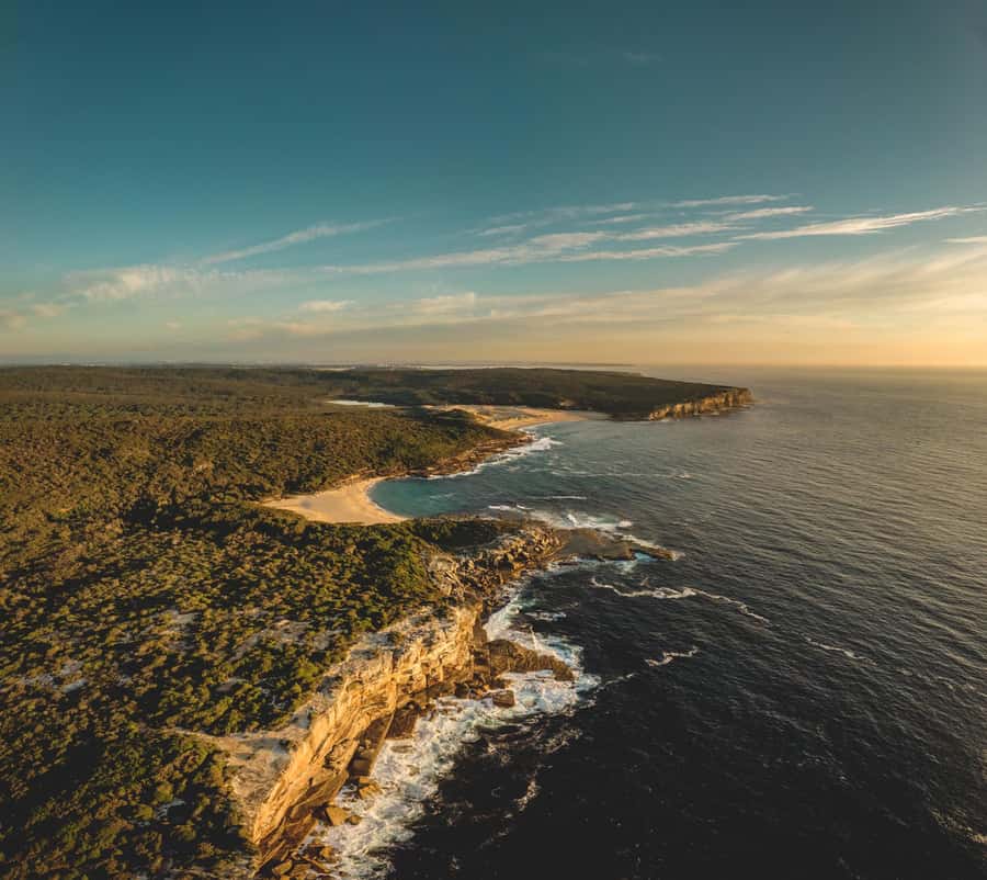 Sydney: Royal National Park tour with picnic - Key points at a glance