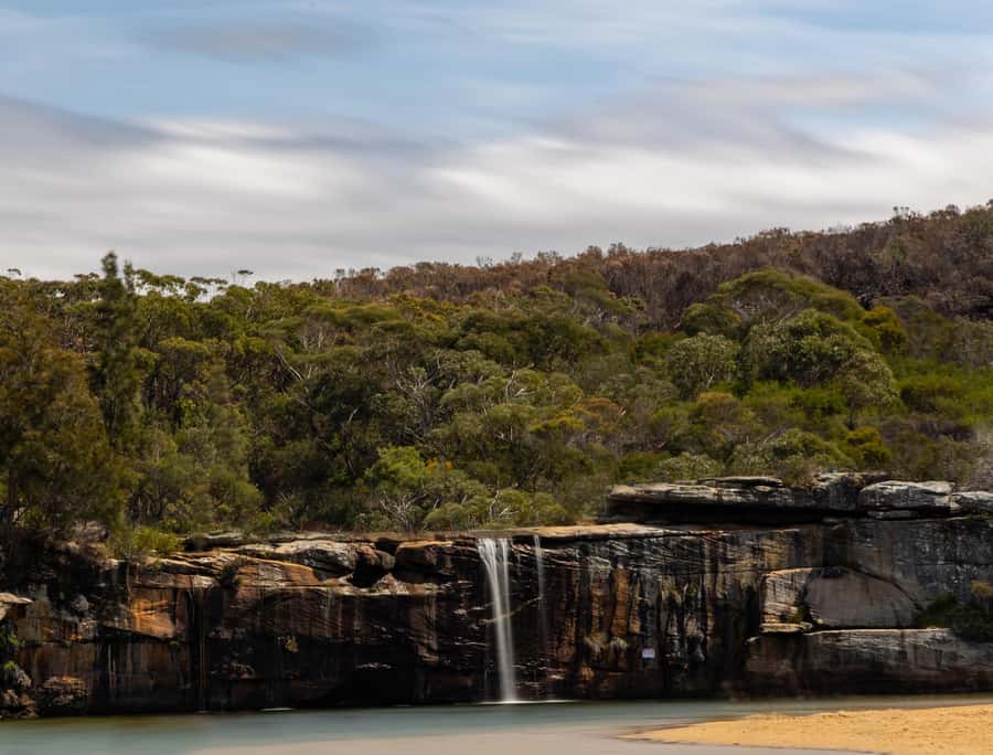 Sydney: Royal National Park tour with picnic - From Sydney streets to Royal National Park
