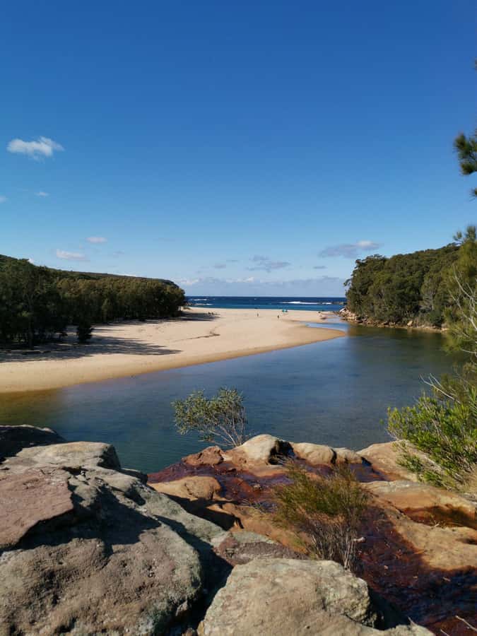 Sydney: Royal National Park tour with picnic - Symbio Wildlife Park: a useful optional add-on
