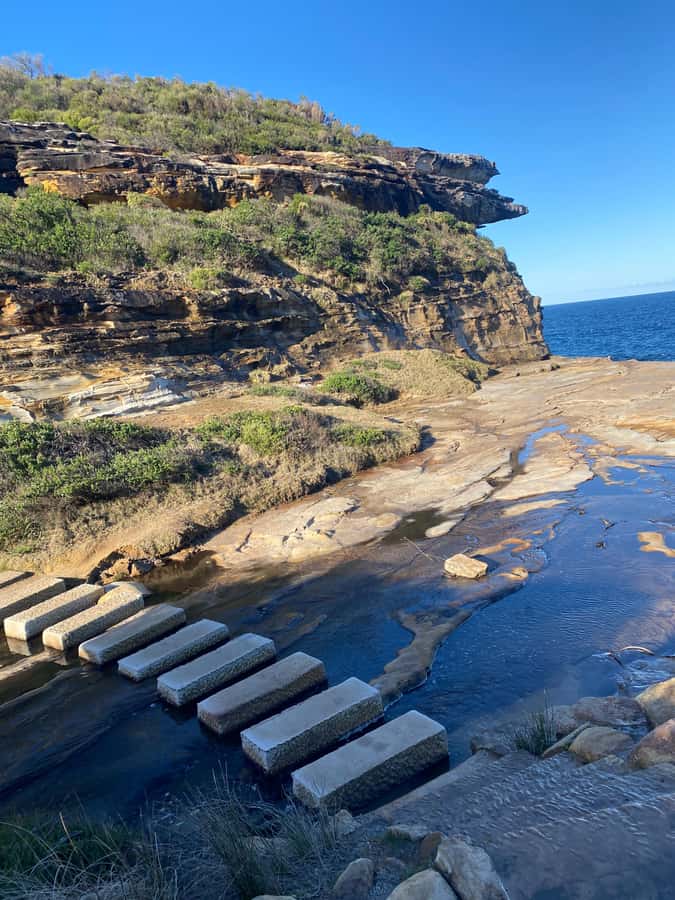Sydney: Royal National Park tour with picnic - What $247 buys you