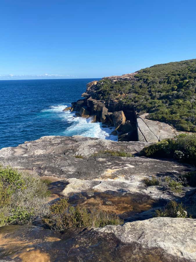 Sydney: Royal National Park tour with picnic - How demanding is the day?