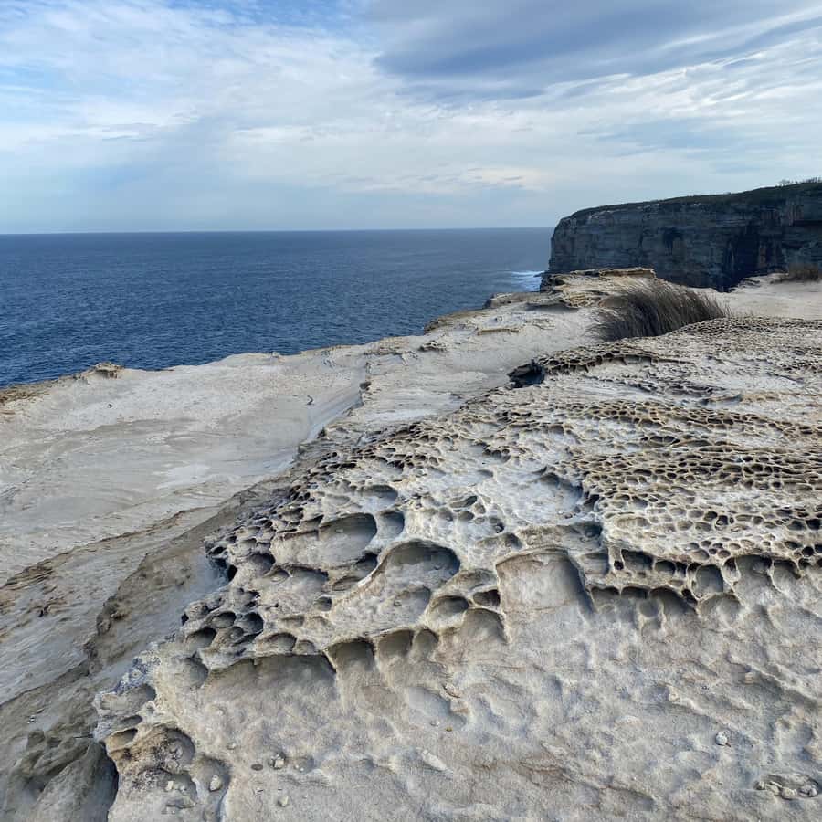 Sydney: Royal National Park tour with picnic - The guide makes the difference