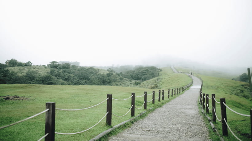 Taipei: Yangmingshan National Park Half-Day Tour - Who will enjoy this Yangmingshan tour