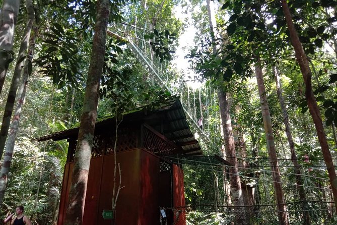Taman Negara National Park Day Tour (SIC - Join In Tour) - Entering Taman Negara and beginning the Teresek Hill walk