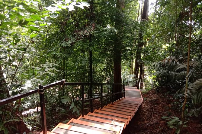 Taman Negara National Park Day Tour (SIC - Join In Tour) - Canopy bridges, when they are open
