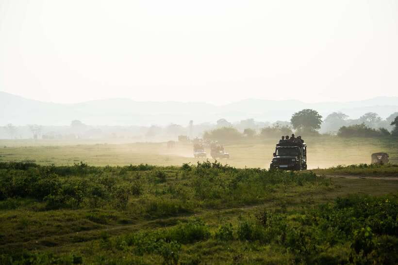 Tangalle/Hiriketiya: Yala National Park Safari in a 4x4 - What the seven-hour Yala safari is really like