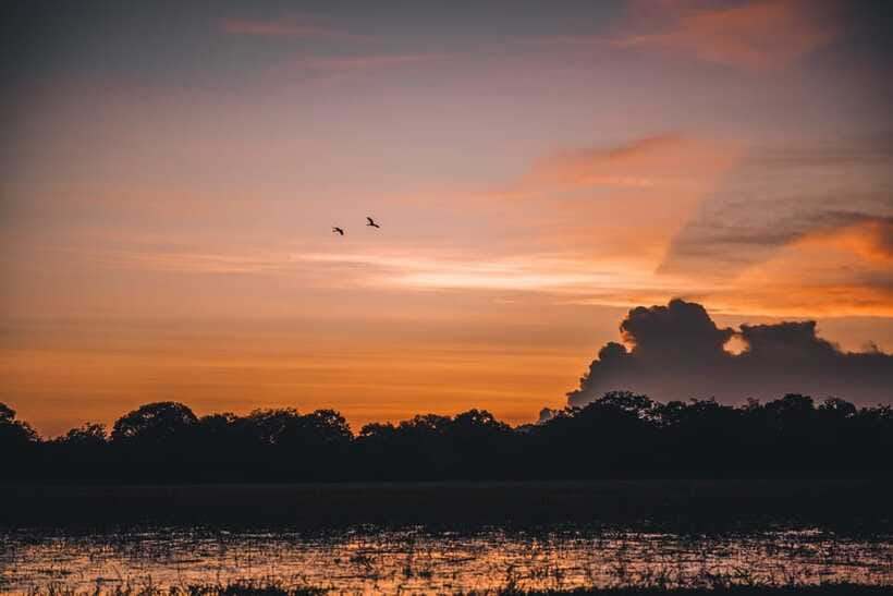 Tangalle/Hiriketiya: Yala National Park Safari in a 4x4 - Jeep comfort, group size, and driving standards