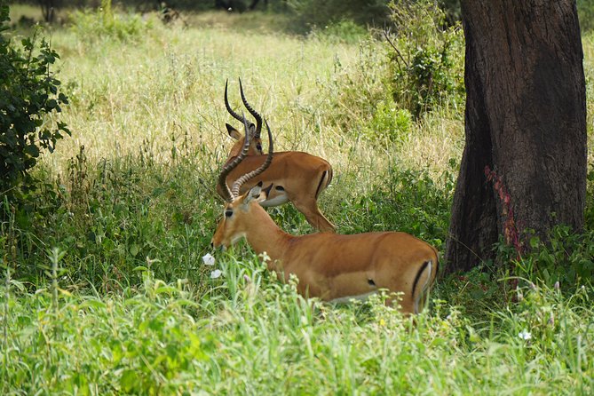 Tarangire National Park - How long the day really takes