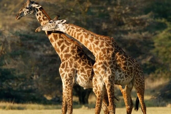 Tarangire National Park Day Trip - The early road from Arusha to the park