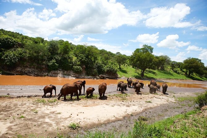 Tarangire National Park: Guided Day Tour from Arusha - Key points to know before booking