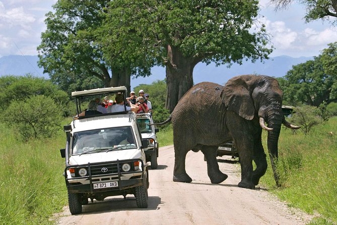 Tarangire National Park: Guided Day Tour from Arusha - The 6:00 am pickup from Arusha