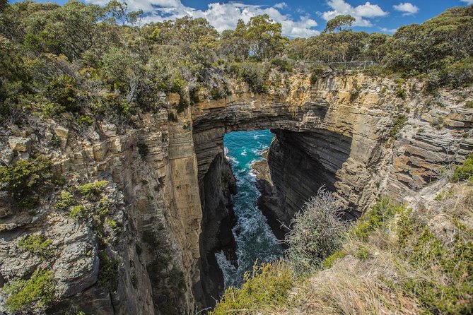 Tasman Peninsula Wilderness Cruise from Port Arthur - What the three-hour ride feels like