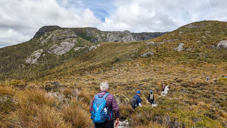Tasmania: 6-Day Comfort Tour for Wilderness and Wildlife - Accommodation, meals, and the real cost