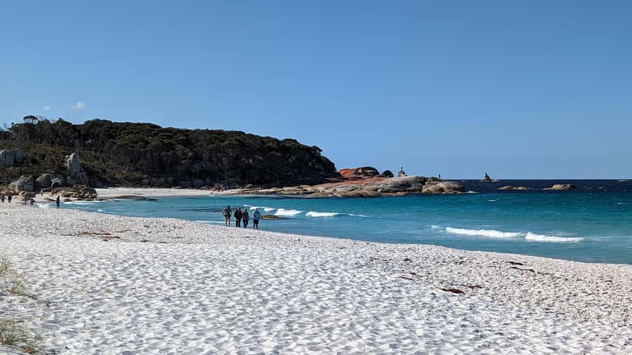 Tasmania: 6-Day Comfort Tour for Wilderness and Wildlife - How active is the tour?