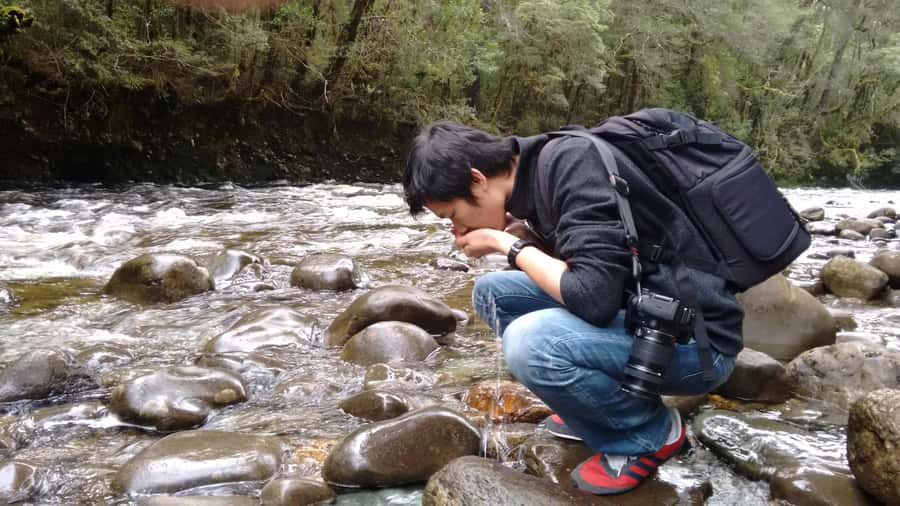Tasmania: Wilderness and Wildlife Guided 6-Day Tour - Accommodation and the real cost at $831