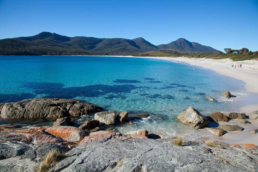 Tasmania: Wilderness and Wildlife Guided 6-Day Tour - Why this route works for a first visit to Tasmania