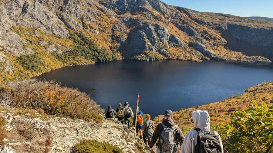Tasmania: Wilderness and Wildlife Guided 6-Day Tour - Day 2: Sand dunes, rainforest, and the wild West Coast