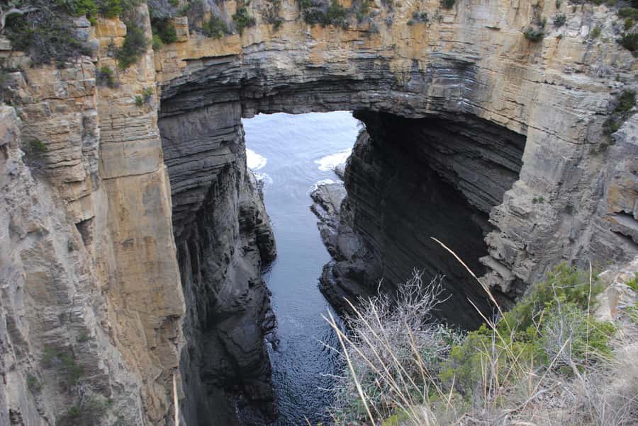 Tasmania: Wilderness and Wildlife Guided 6-Day Tour - Guides, group style, and the bus