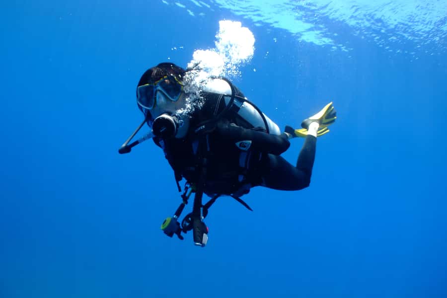 Tayrona National Park: Scuba Diving Tour for Beginners - Meeting the underwater world as a beginner