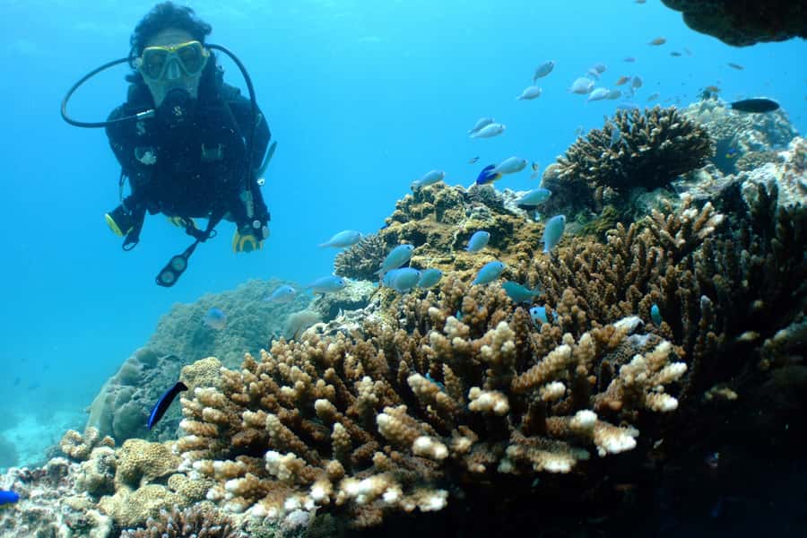 Tayrona National Park: Scuba Diving Tour for Beginners - Why the four-person limit matters
