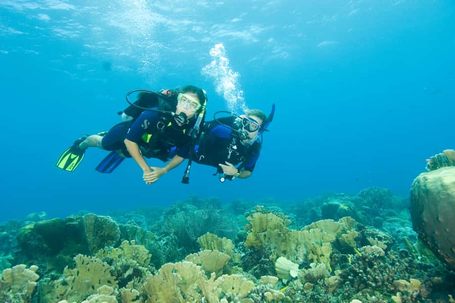 Tayrona National Park: Scuba Diving Tour for Beginners - Is $138 a fair price?