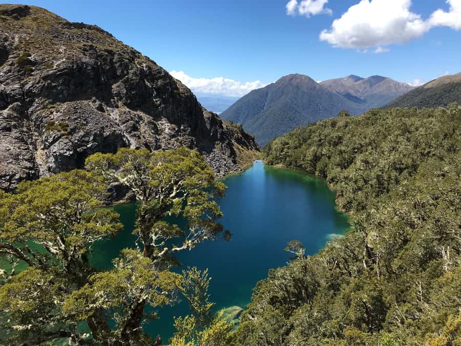 Te Anau: 30-Minute Fiordland National Park Scenic Flight - Key points at a glance
