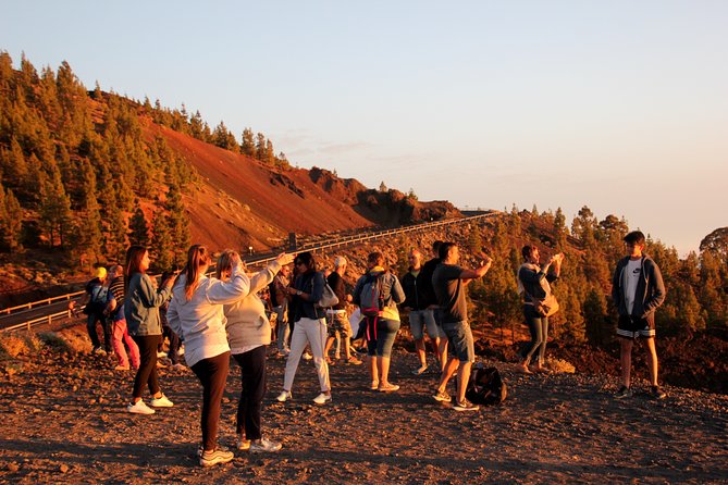 Teide National Park Exclusive and private Tour - Transport, pickup, and the private format