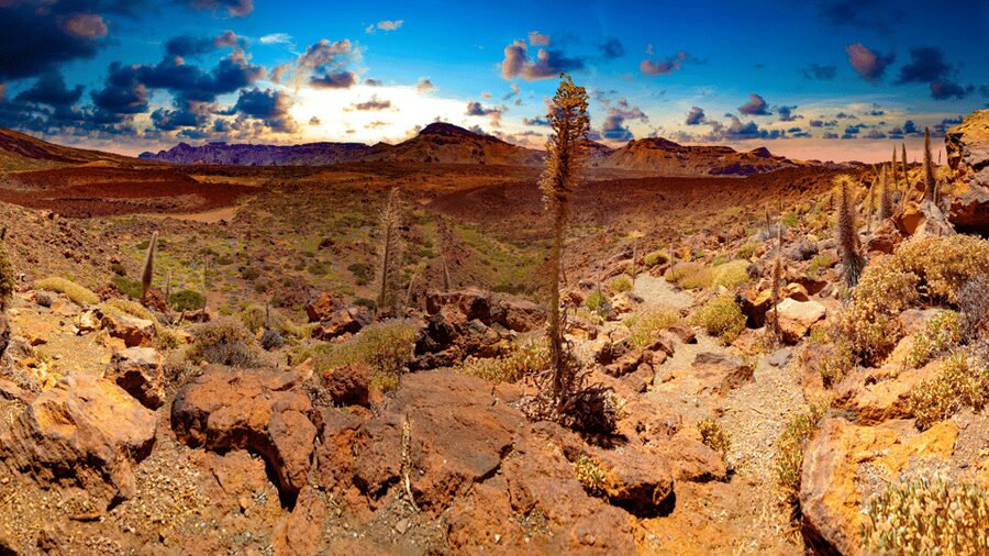 Teide National Park: Landscapes and Viewpoints Private Tour - Key points to know before you book