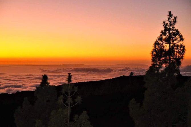 Teide National Park Sunset & Stargazing with Dinner (Star Safari) - Practical advice for a better evening