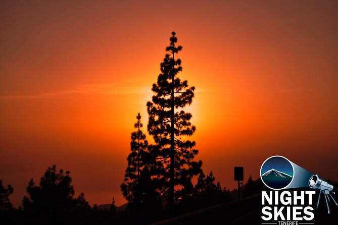 Teide National Park Sunset & Stargazing with Dinner (Star Safari) - A simple Canarian dinner at Restaurante 7 Cañadas