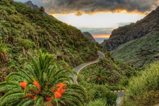 Tenerife Grand Tour: including Teide National Park and Masca - Key points to know before booking