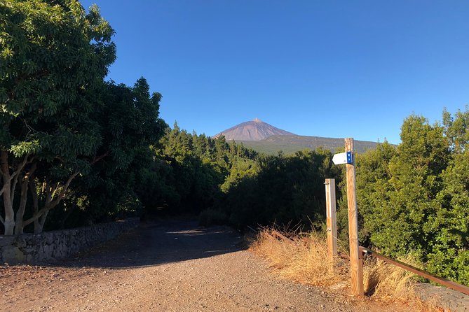Tenerife Grand Tour: including Teide National Park and Masca - A big island tour in one long day