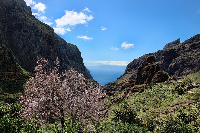Tenerife Grand Tour: including Teide National Park and Masca - The pickup is useful, but read the confirmation carefully