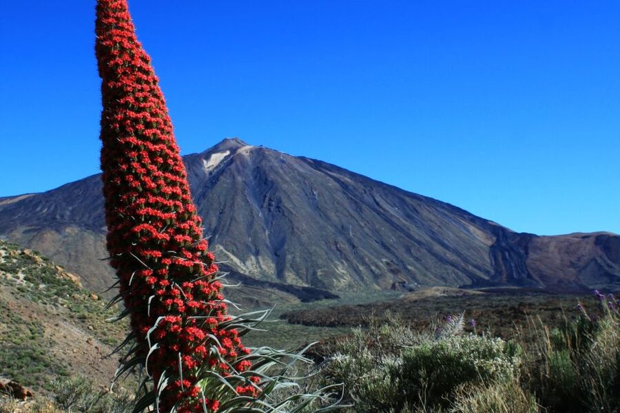 Tenerife: Mount Teide Quad Tour in Tenerife National Park - Riding back down the mountain roads