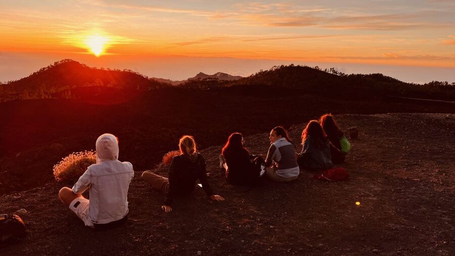 Tenerife: Private VIP Tour Teide National Park - From the South to Vilaflor and Its Barraquito
