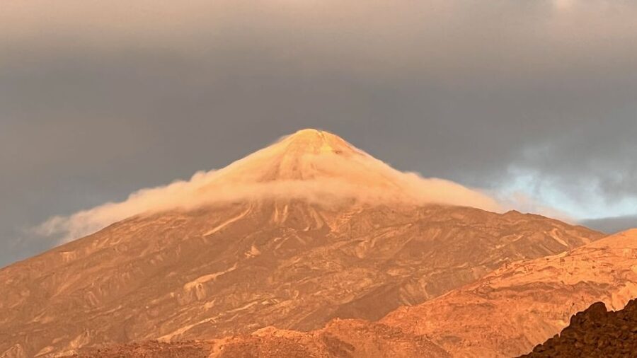 Tenerife: Private VIP Tour Teide National Park - The Corona Forestal and Pino Gordo