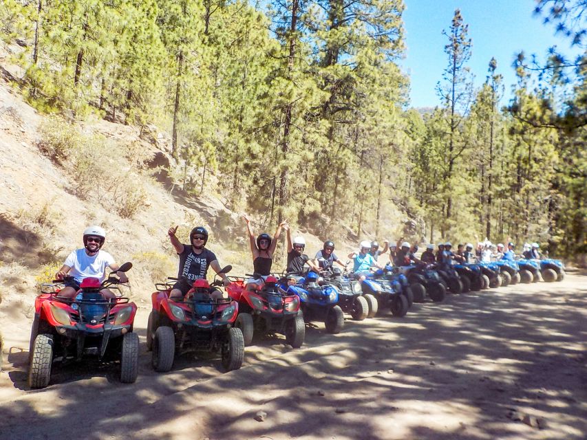Tenerife: Quad Adventure Tour in Teide National Park - Should you book the $94 ride?