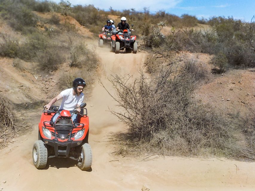 Tenerife: Quad Adventure Tour in Teide National Park - Boca del Tauce and the best photo stop