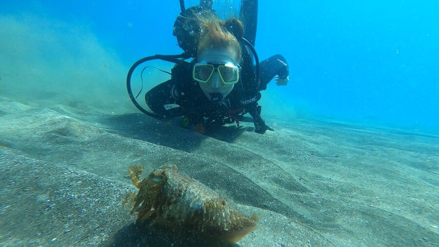 Tenerife: Scuba Diving Lesson and Abades Protected Area Dive - How the instructors shape the experience